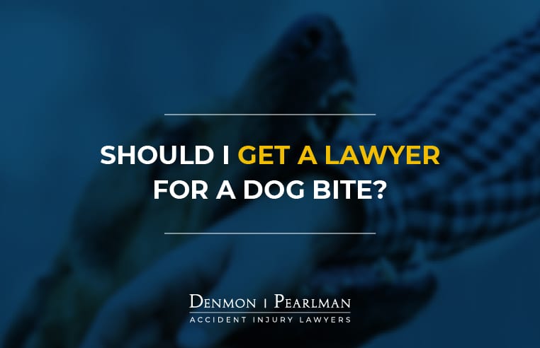 St Petersburg Dog Bite Attorney